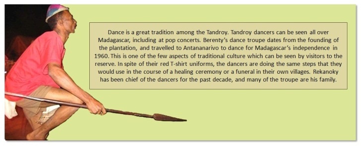 Tandroy Dancer